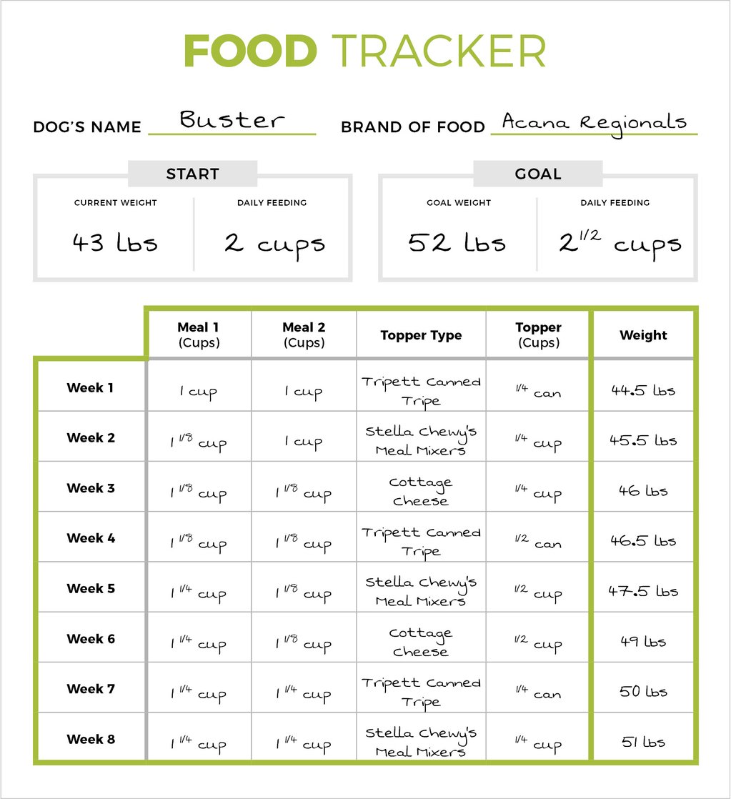 Tips for How to Fatten Up A Dog How to make your dog fat?